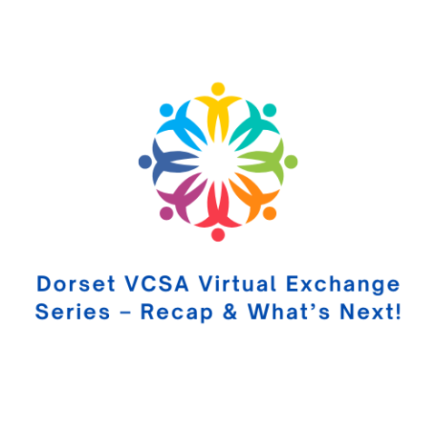 Dorset VCSA Virtual Exchange Series – Recap & What’s Next!
