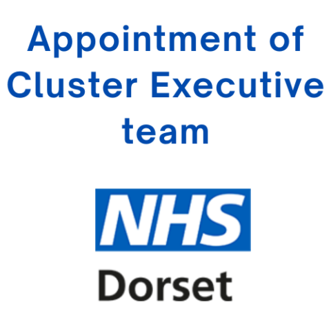 Appointment of Cluster Executive team to the new Integrated Care Board (ICB) cluster across NHS Bath and North East Somerset, Swindon and Wiltshire (BSW) ICB, NHS Dorset ICB and NHS Somerset ICB